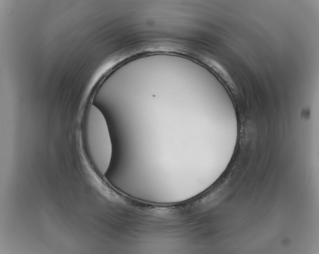 X0000091061130200708060954