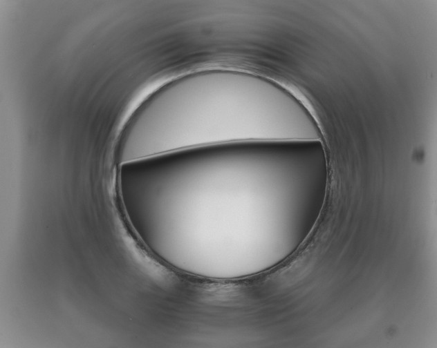 X0000091061131200708060954