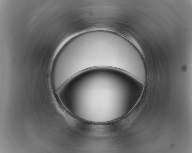 X0000091061132200708060954