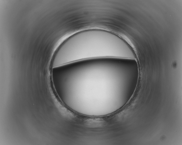 X0000091061133200708060954