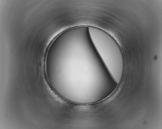 X0000091061134200708060954