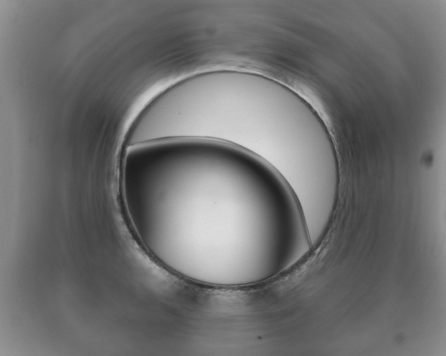 X0000091061136200708060954