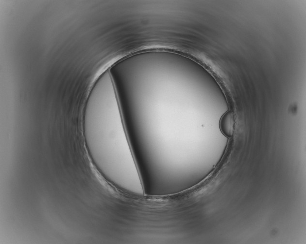 X0000091061137200708060954