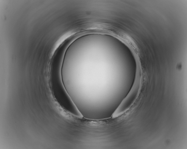 X0000091061138200708060954