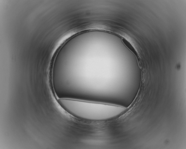 X0000091061139200708060954