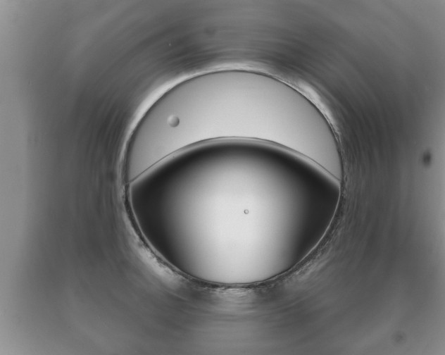 X0000091061140200708060954