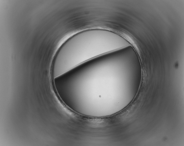 X0000091061141200708060954