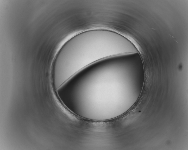 X0000091061142200708060954