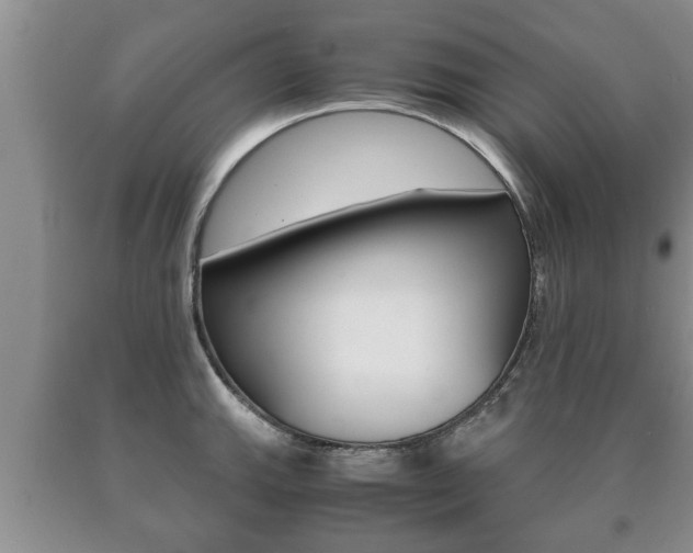 X0000091061143200708060954