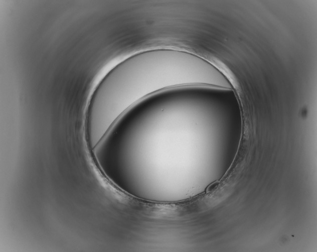 X0000091061144200708060954