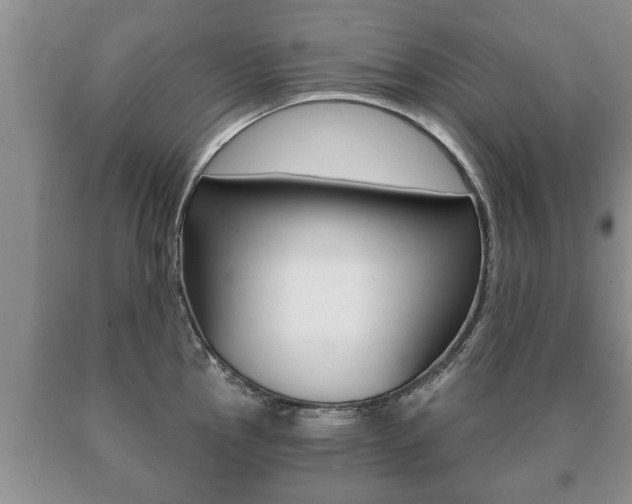 X0000091061145200708060954