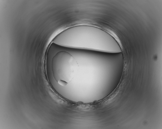X0000091061146200708060954