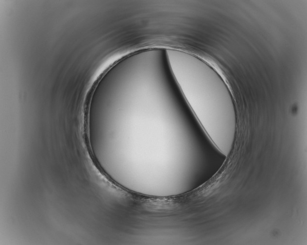 X0000091061147200708060954