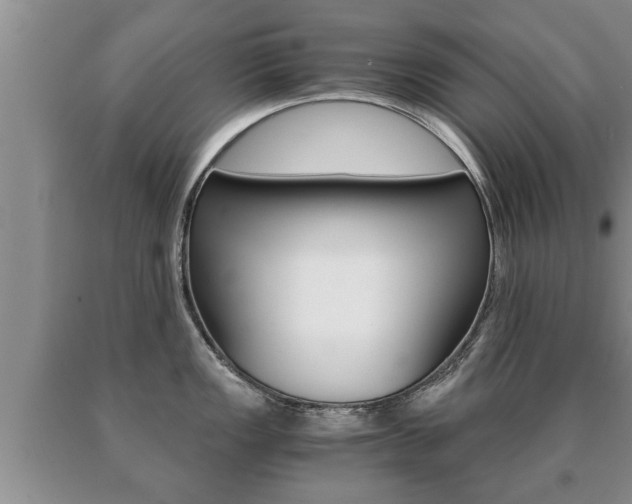 X0000091061149200708060954