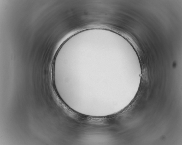 X0000091061150200708060954