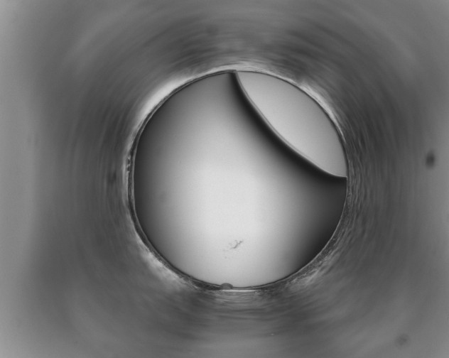 X0000091061151200708060954