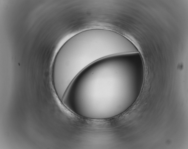 X0000091061152200708060954