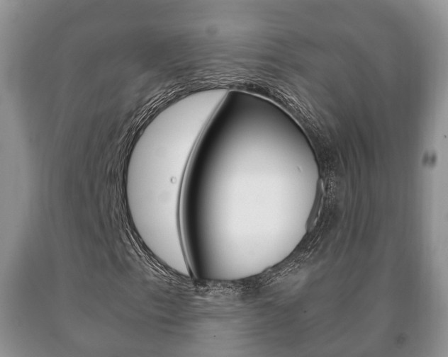 X0000091061153200708060953