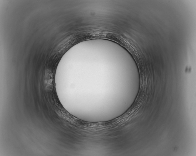 X0000091061154200708060953