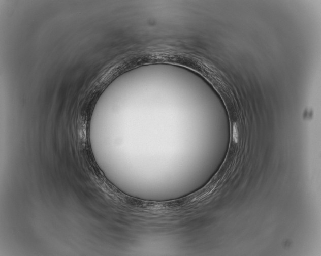 X0000091061155200708060953