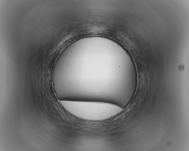 X0000091061158200708060953