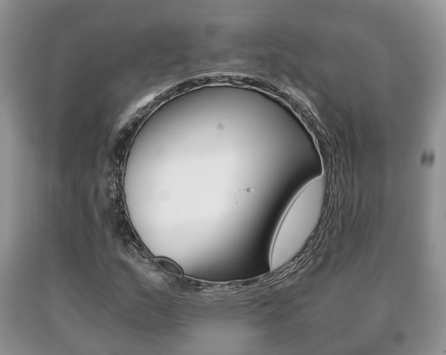X0000091061159200708060953