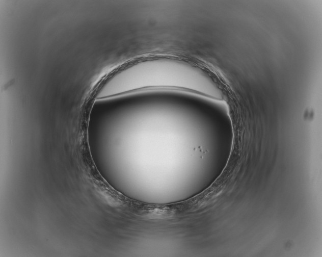 X0000091061160200708060953