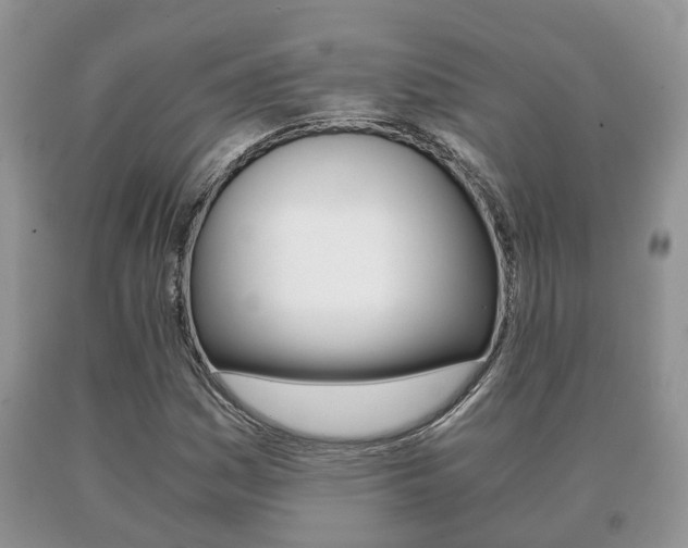 X0000091061161200708060953