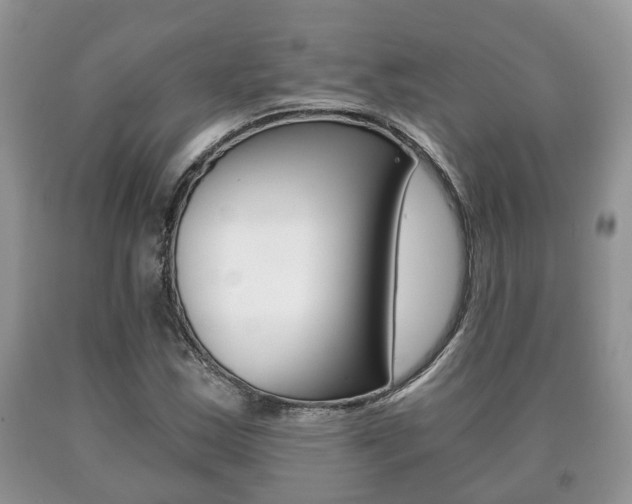 X0000091061163200708060953