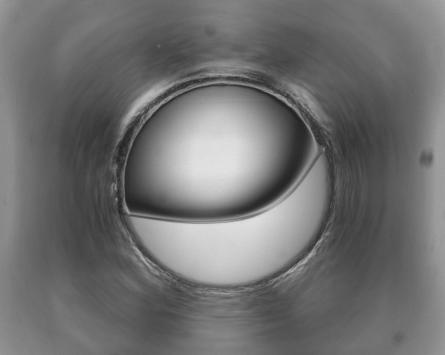 X0000091061164200708060953