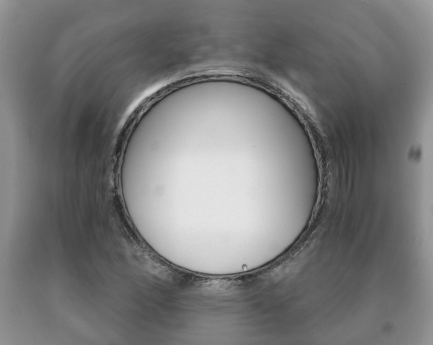 X0000091061166200708060953