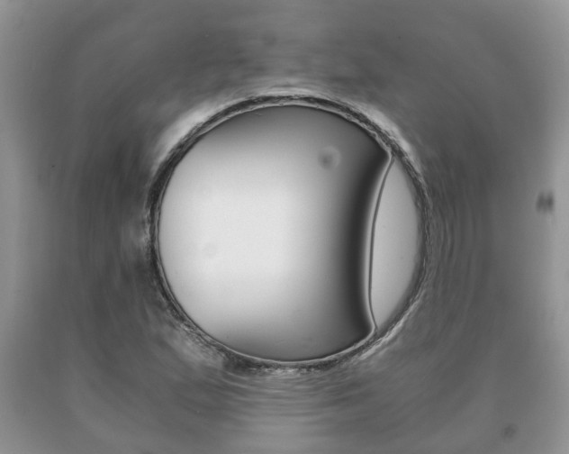 X0000091061167200708060953