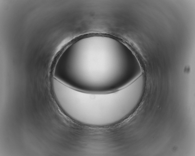 X0000091061168200708060953