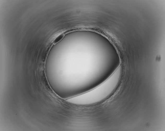 X0000091061169200708060953