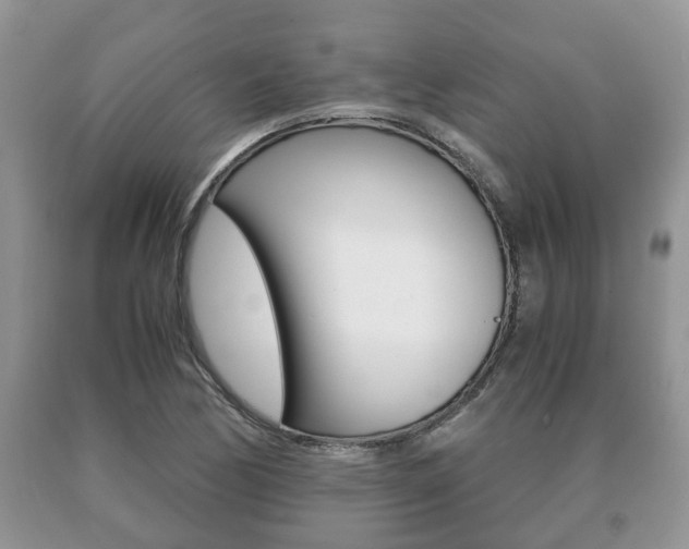 X0000091061170200708060953