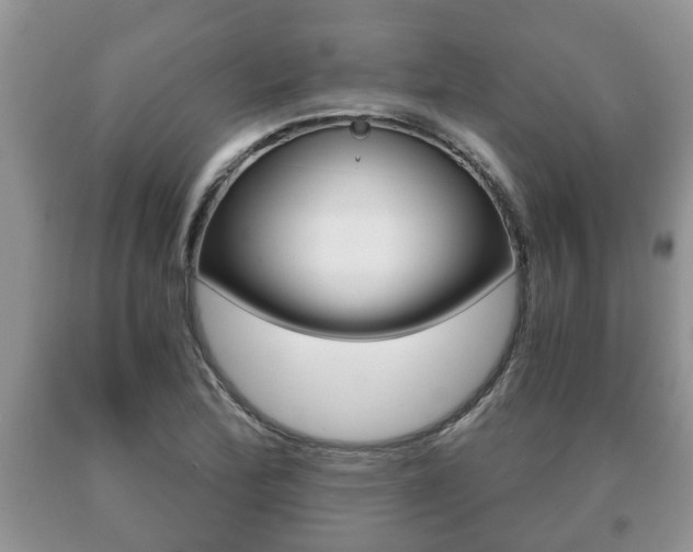 X0000091061172200708060953