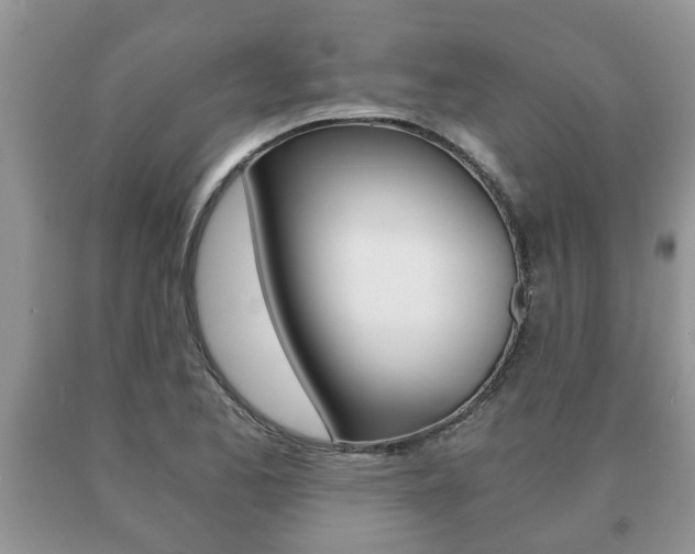 X0000091061173200708060953