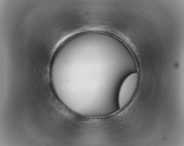 X0000091061174200708060953
