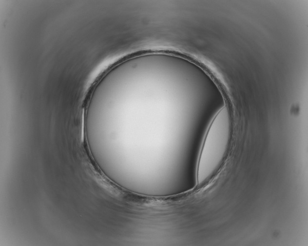 X0000091061175200708060953
