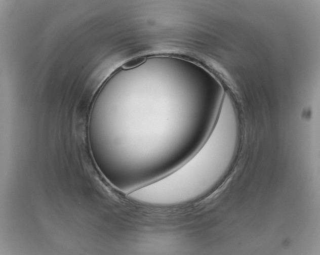 X0000091061177200708060953