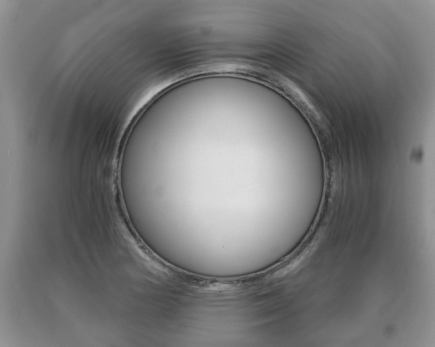 X0000091061178200708060953