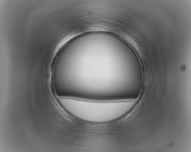 X0000091061179200708060953