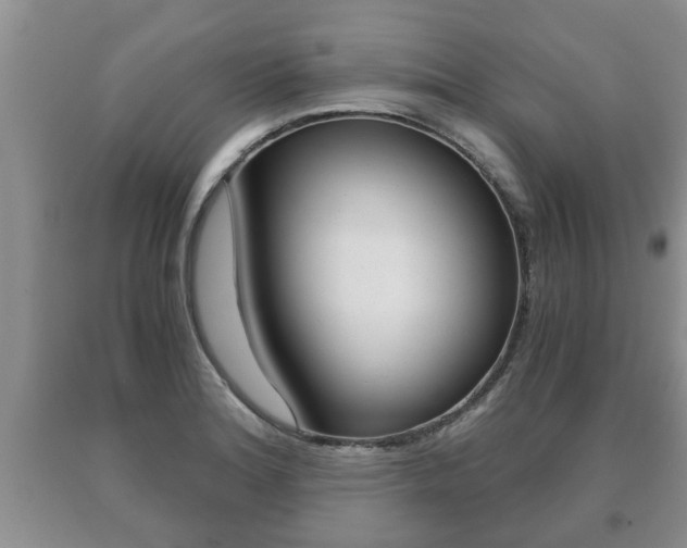 X0000091061180200708060953