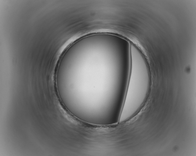 X0000091061181200708060953