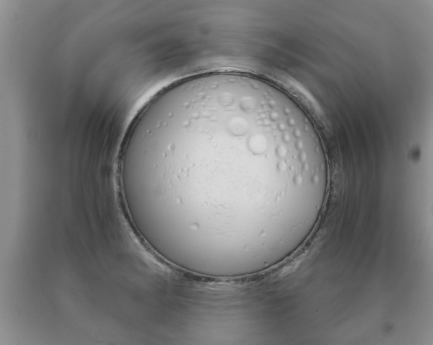 X0000091061182200708060953