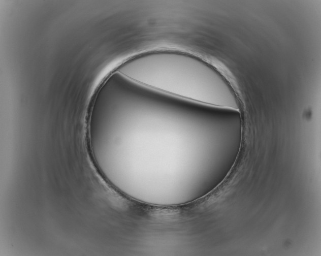 X0000091061183200708060953