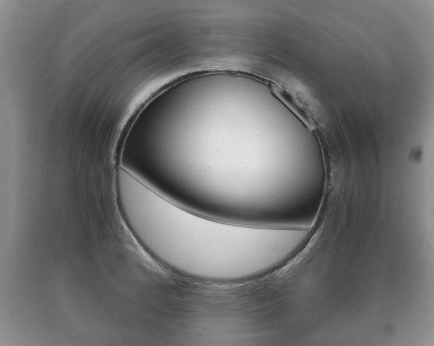 X0000091061184200708060953