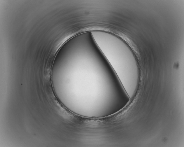 X0000091061185200708060953