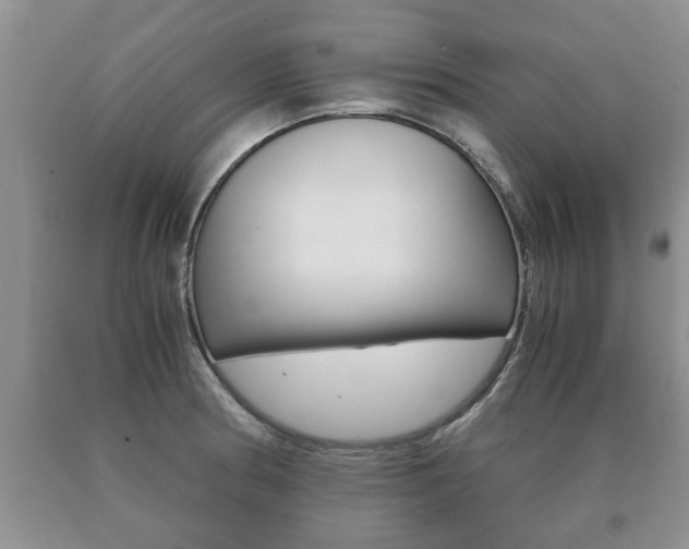 X0000091061186200708060953