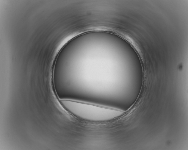 X0000091061187200708060953